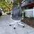 🌪️ Herman Miller Cosm  Chair 🌪️ 12 thumbnail