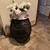 Baskets Wicker Rattan Storage Organizing 17 thumbnail