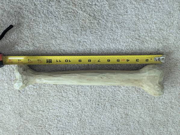 Wooden Bone Decor 15" art funny halloween decoration skeleton dog carl 1