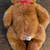 VTG TY Beanie Buddies Classic Taffybeary Bear Plus 14”. 4 thumbnail