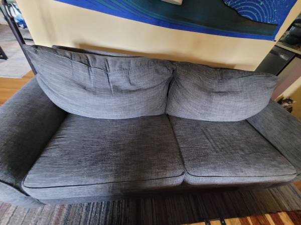 Pull Out Mattress / Couch 1