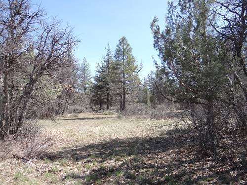 $59,500 5 Acres (McArthur, CA)63972381744771120