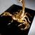 22K Gold Plated Scorpion 4 thumbnail