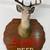 Schell’s Beer 1 thumbnail