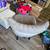 2 living room chairs 2 thumbnail