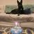 Rehoming German shepherd 1 thumbnail