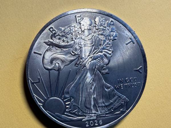 Pure Titanium Liberty Eagle Coin 1