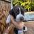 German Shorthair Pointer Puppies 14 thumbnail