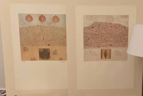 LITHOGRAPHS 2 BOTANICAL LEAF LIMITED EDITION SIGNED H SCOTT 1