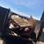 * JUNK & TRASH REMOVAL DUMP RUNS YARD CLEAN UPS 11 thumbnail