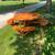 Large round 5 foot picnic table 3 thumbnail
