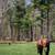 Gorgeous 22 yr old Mare 2 thumbnail