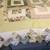Quilt and pillow shams 4 thumbnail