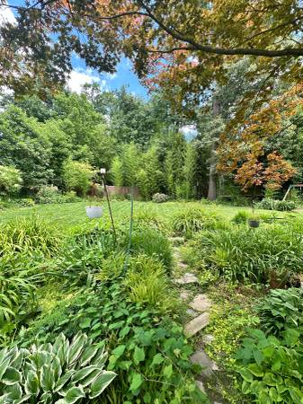 $1,300 Lrg rm in cozy Arlington/Falls Church house - $1300 incl util (Arlington)64040192444290122