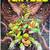 Teenage Mutant Ninja Turtles Universe Comic Books 15 thumbnail