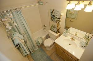$1,619 / 1br - Su próximo hogar en Takoma Park le espera (Takoma Park)63843420900355121