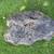 Large Lava Cinder Rocks for Landscaping - 8 each 4 thumbnail