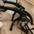 Saris Bones 2 bike rack 1 thumbnail