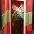 The Christmas Pickle Blown Glass Ornament in Gift Box by Ganz 4 thumbnail