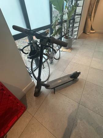 Electric Ninebot Kick Scooter 1