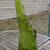 Large Swung Vase LE Smith #5160 Green Diamond Vintage Glass 2 thumbnail