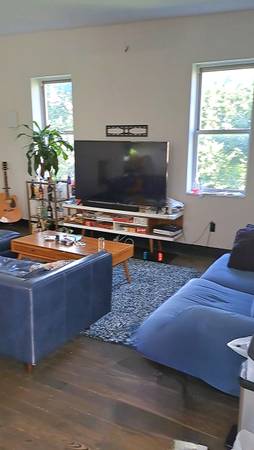 $6,780 / 2br - Huge Stunning Sunny East Vil 2br LOFT, WD in unit, steps to 6, VIDEO! (East Village)63788715502977121
