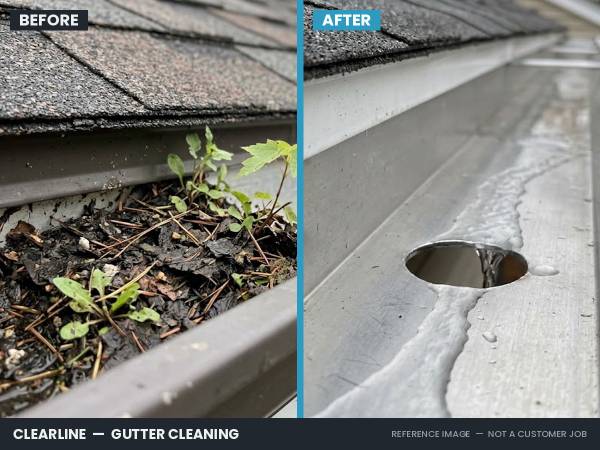 Gutter Cleaning — Hand-Cleaned, Bagged and Hauled Away — Niles / Park 1