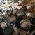 Roland, Hart Professional Drums, Gibraltar Rack 1 thumbnail