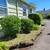 ONE TIME YARD CLEANUP. 4 thumbnail