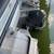 21' Pontoon boat. "LQQK 5 thumbnail