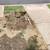 Aloha I'm looking for you that needs cheap landscaping done to your house, busin 4 thumbnail