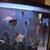 70 gallon fish aquarium 6 thumbnail