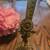 Vintage Matson Ormolu Gold Gilt Sunflower Perfume Bottle 10 thumbnail