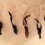 Smithsonian Museum Mini Animals Vintage with Tags 3 thumbnail