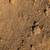 Decorative Rock, Sand, Gravel, Base for sale 10 thumbnail