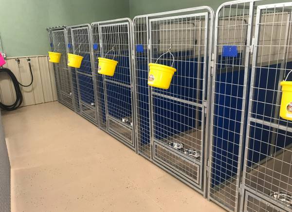 Part-Time Kennel Assistant – Ruby’s K9 Corral 1