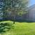 Comfortable 4BR/2BA Home For Rent 1 thumbnail