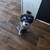 Male Mini Schnauzer 3 thumbnail