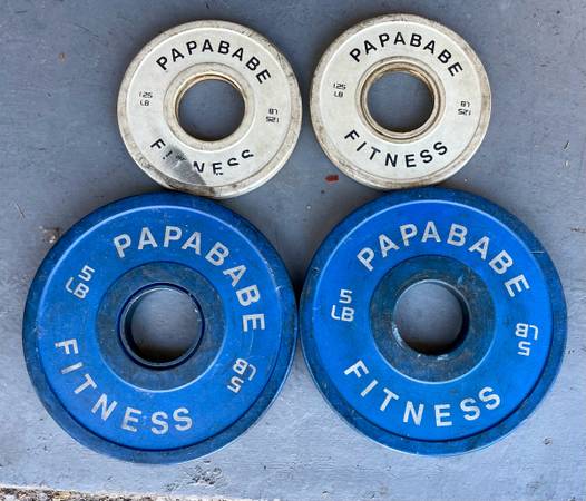 Small Olympic Barbell Weights 1