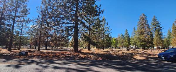 $8,000 / 10000ft2 - Quarter acre lot on Fisher in Lake Shastina (Lake Shastina)63678184678019120