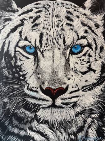 BLUE EYE TIGER 1
