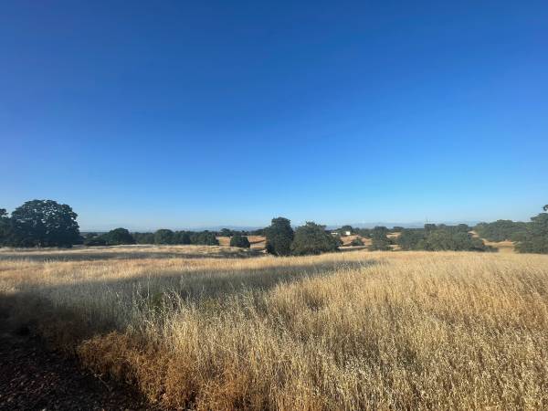$87,500 INCREDIBLE MT SHASTA VIEWS - 11.89 ACRES - EASY I-5 ACCESS (Cottonwood)63972529462787120