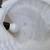 POTTERY BARN LARGE SHELL TABLE LAMP - 2 STYLES  AVAILABLE 9 thumbnail