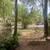 Springs 2 thumbnail