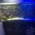 Red Sea Reefer 425 Saltwater Fish Tank Aquarium 2 thumbnail