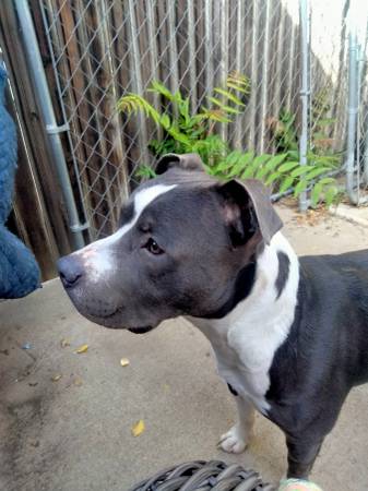 Mighty is my name (Denver)63921242997507120