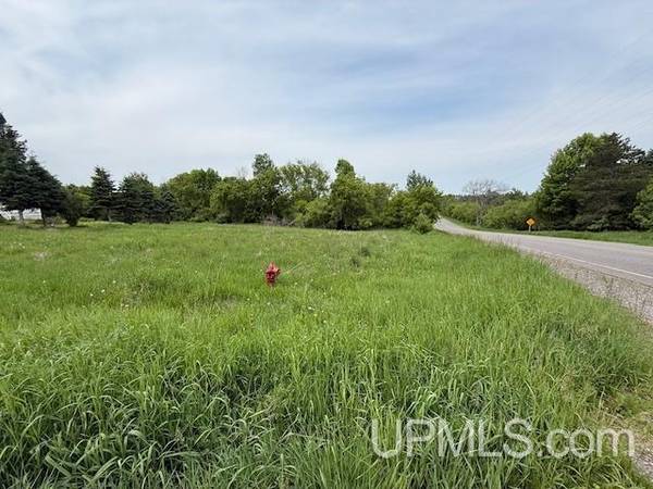 $15,000 0.33 Acres vacant lot MLS 50178507 (Florence T-WI)64151608854529122