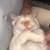 Cat 4 thumbnail