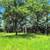 Vacant Lot on Wisconsin River 12 thumbnail