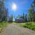Listing #26-5553  EQUITY BUILDER CABIN ON 1.84 ACRES! 1 thumbnail